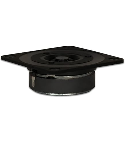 Amazon.com: Goldwood Sound 100 Watts 8ohm Silk Dome Speaker